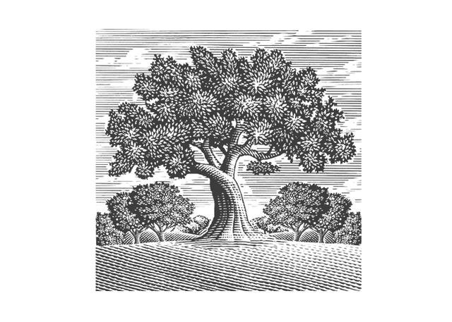Orchard Tree